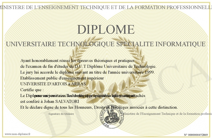 diplome universitaire informatique